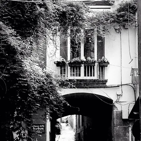 Rifugio Partenopeo - Centro Storico Di Napoli